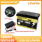 LiFePO4 Battery Pack 12V