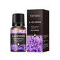 17Flavors 10ml Essential Oil for Aroma Diffuser