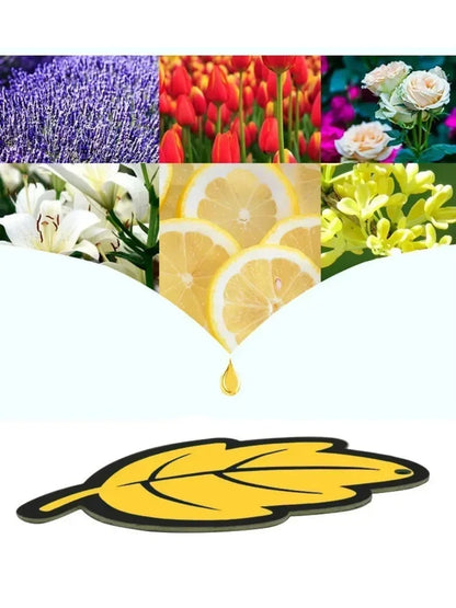 Car Air Freshener Natural Scented