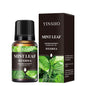 17Flavors 10ml Essential Oil for Aroma Diffuser