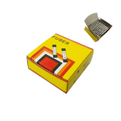 10PCS / 100PCS Fast Blow Glass Tube Fuses